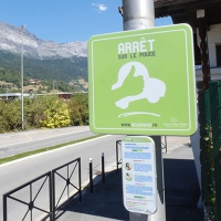 carre_rezo_bus_site.jpg