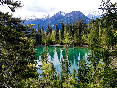 cadre-vie-lac-vert_2.jpg