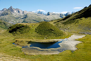 cadre_vie_reserve-_naturelle_lac_pormenaz2.jpg